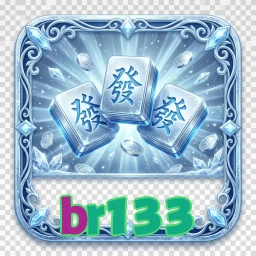 br133